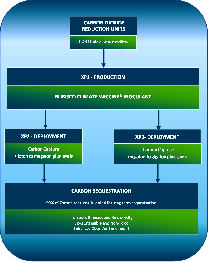 process overview