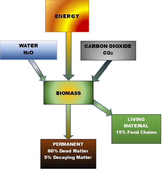 RubisCO  solution reversing the effects of combustion